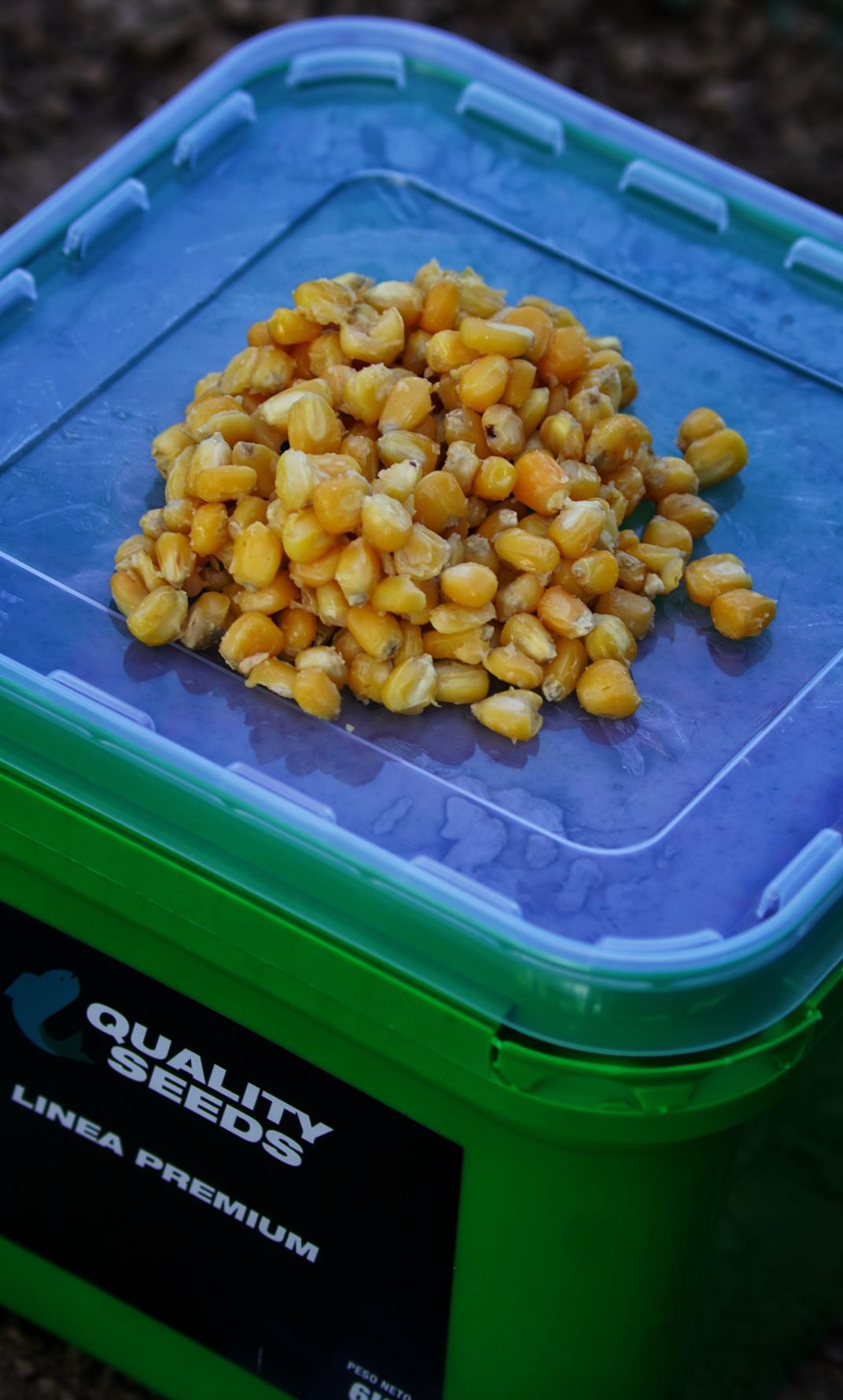 Kbelík na kukuřici Quality Seeds Žlutá 6kg