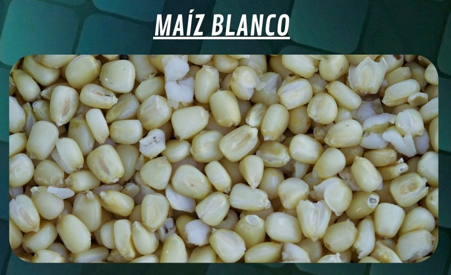 Kbelík na kukuřici Quality Seeds Bílá 6kg