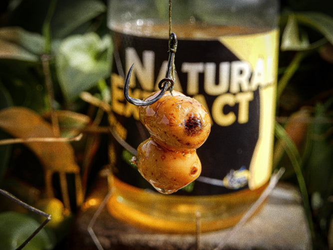 Extracto Pro Elite Baits Betaina 500 ml - Tienda Carpfishing