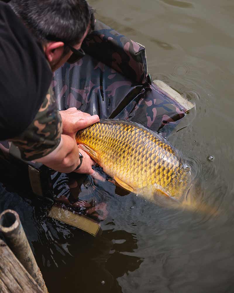 Koberec Fox Camolite