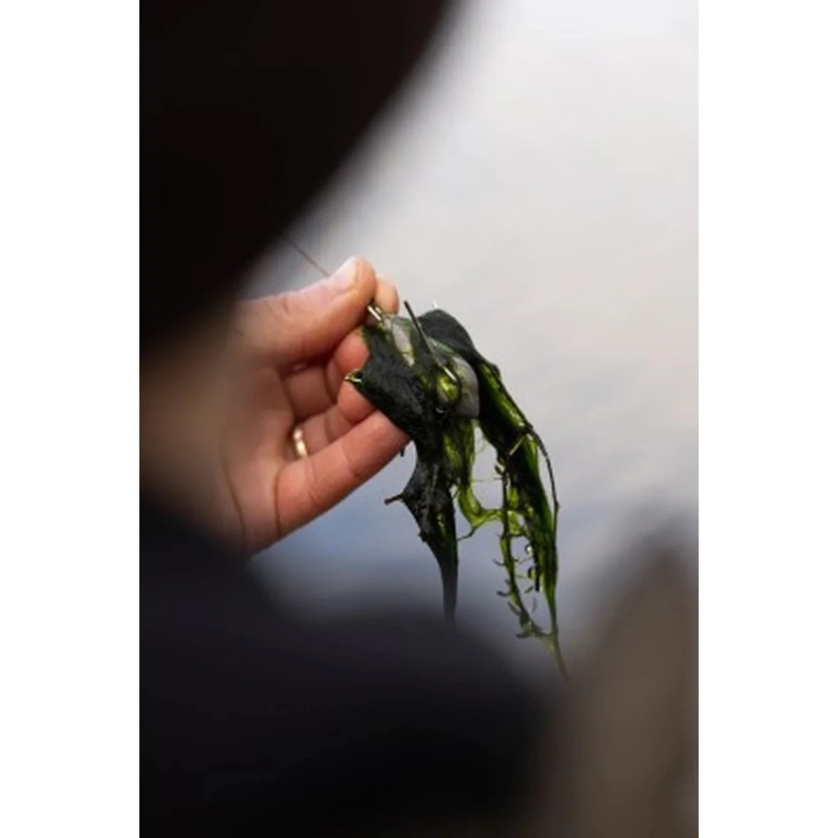 Plomo Korda Grapple - Tienda Carpfishing