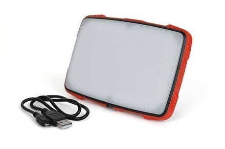 Foco de fotografia fox 4