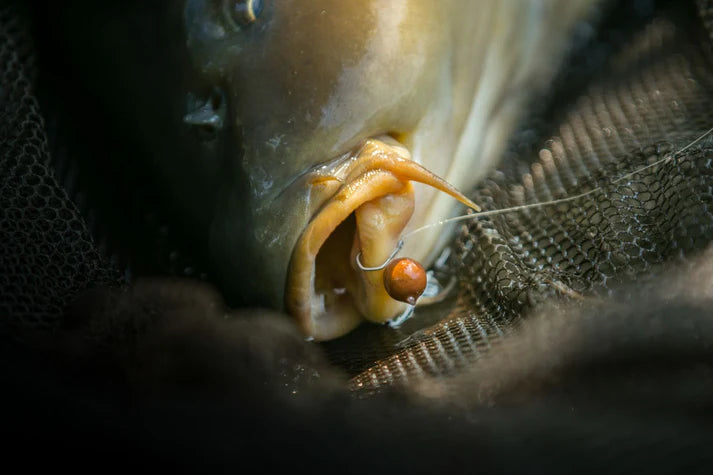 Háčky  Nash Claw