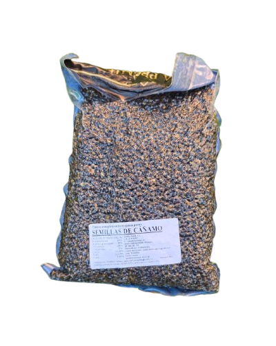 Konopí Quality Seeds