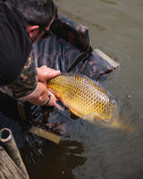 Koberec Fox Camolite