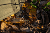 Paraguas Korum Progress Graphitalye 1,35 x 2,1 m - Tienda Carpfishing