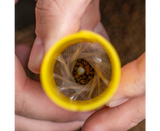 Systém výroby tašek pva Avid Carp