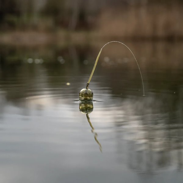 Zig Float Nash