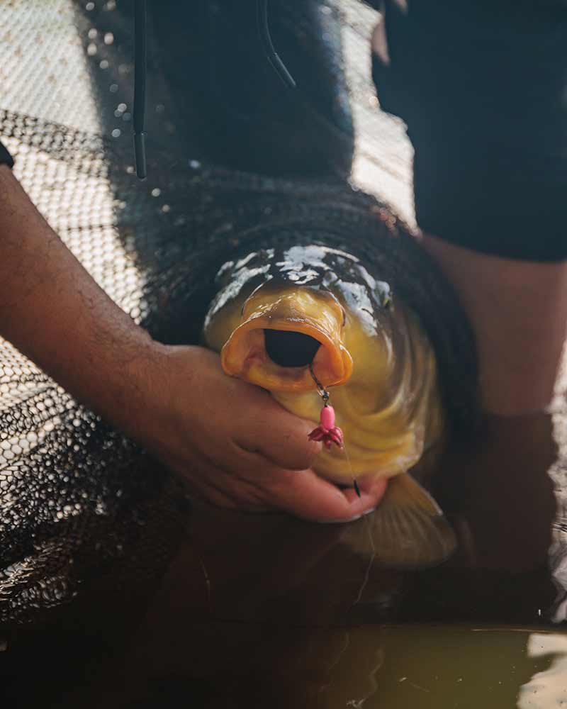 Anzuelos montados Fox Edges Fluoro D - Rig - Tienda Carpfishing