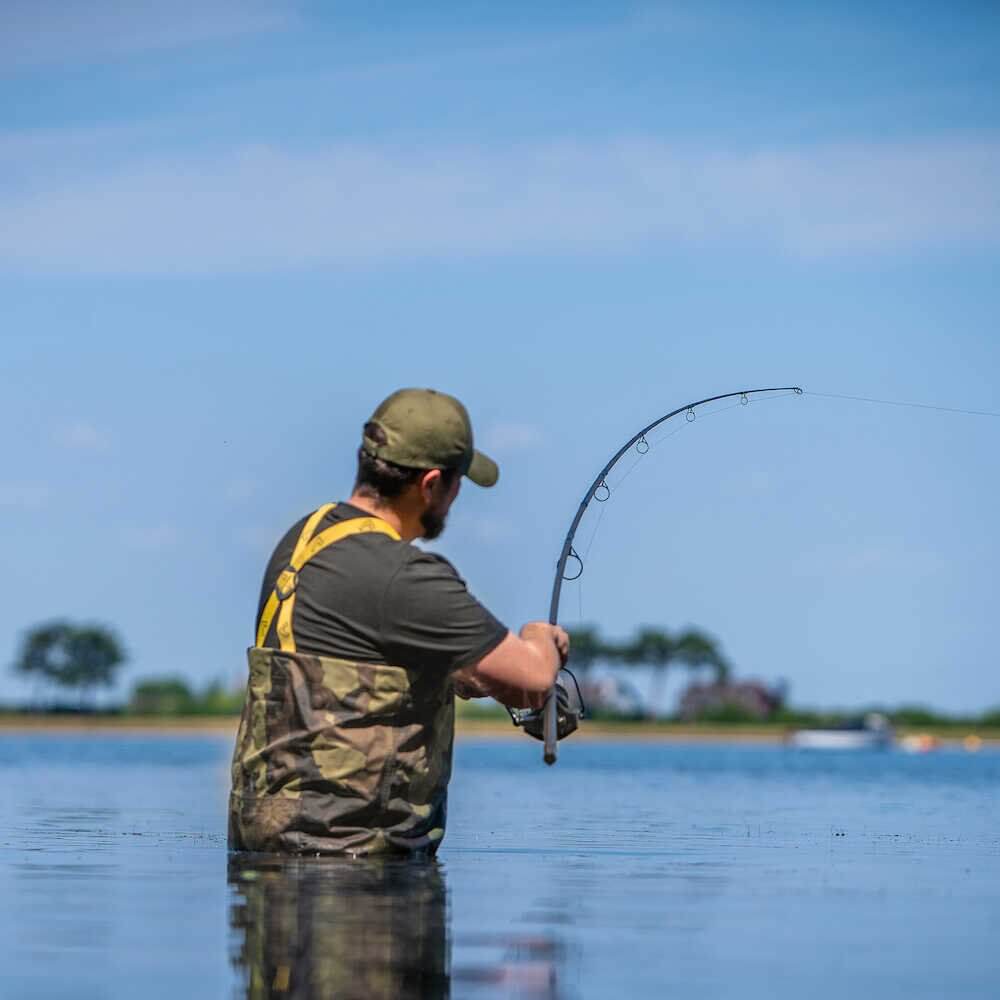 Caña Avid Carp Revolve 13 pies 3,5 lb - Tienda Carpfishing