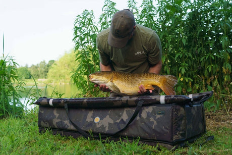 Cuna Solar Worldwide Square - Tienda Carpfishing