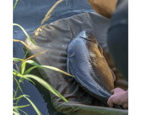 Moqueta Avid Carp Revolve - Tienda Carpfishing