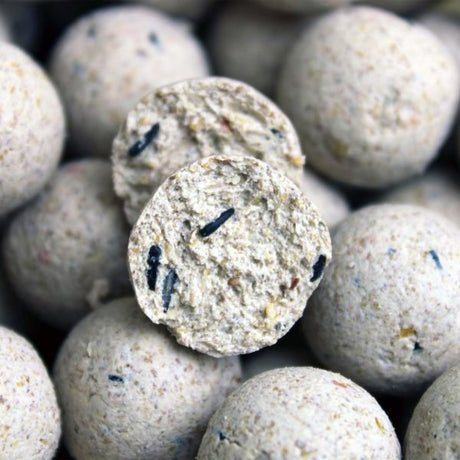 Session Pack Pro Elite Baits Piña Scopex White - Tienda Carpfishing