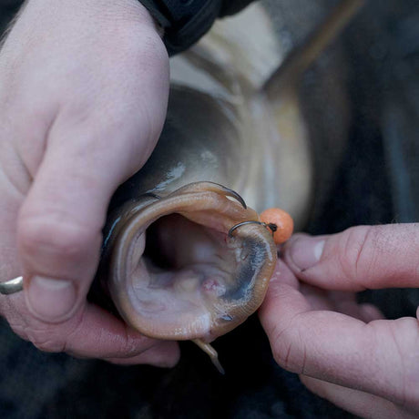 Anzuelos Avid Carp Armorok Wide Gape - Tienda Carpfishing