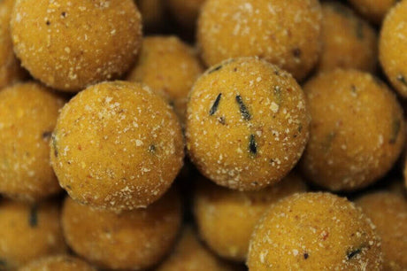 Boilies Pro Elite Baits Gold Sweet Dreams 14 mm - Tienda Carpfishing