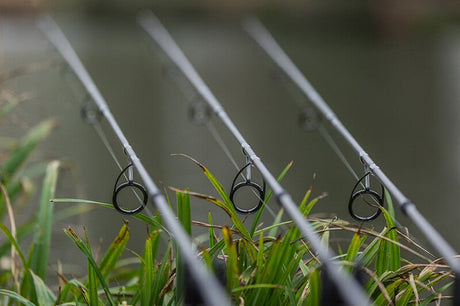 Caña Fox Explorer Ti 8 - 10 pies 3 lb - Tienda Carpfishing