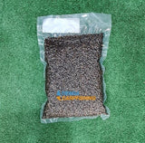 Cañamón Particles For Fishing 1 kg - Tienda Carpfishing